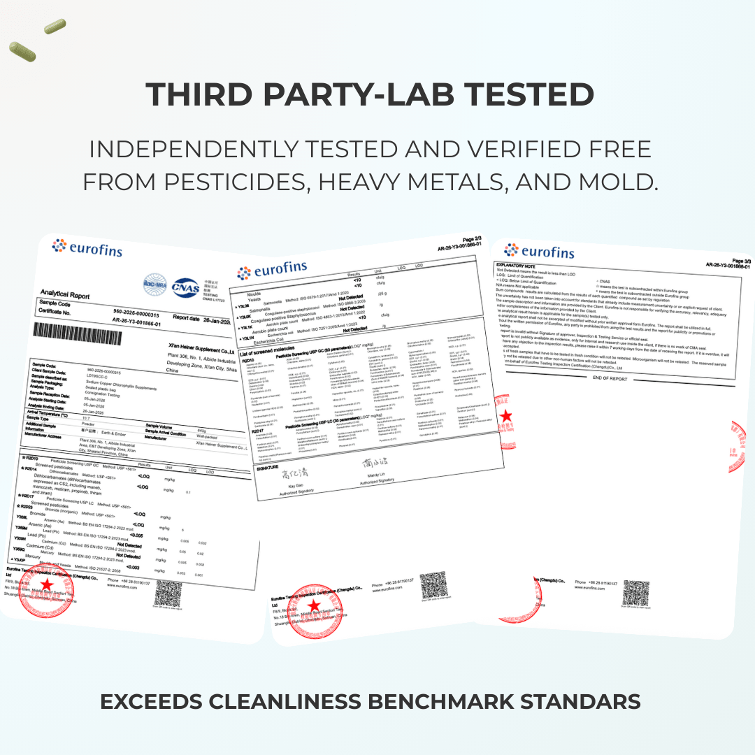 REFRESH: The Complete Reset - Earth & Ember