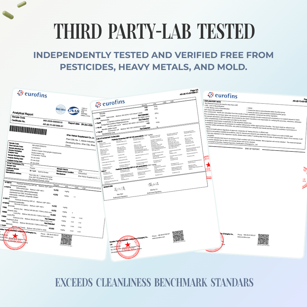 REFRESH: The Starter Kit - Earth & Ember